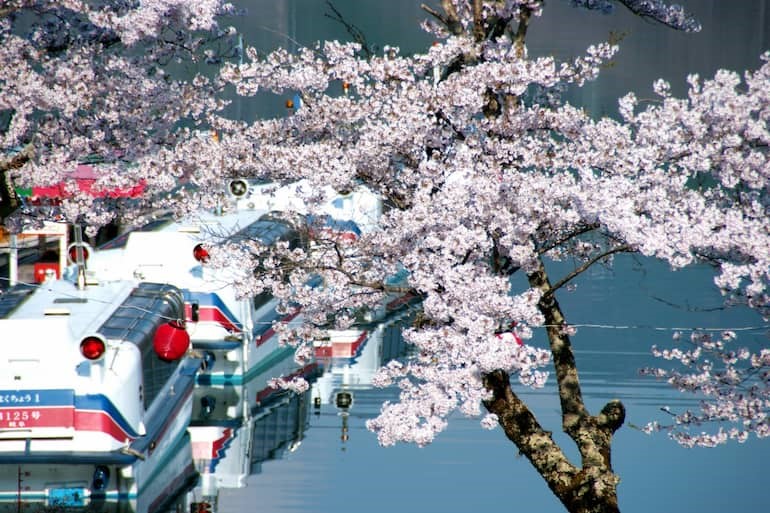 恵那峡遊覧船：春