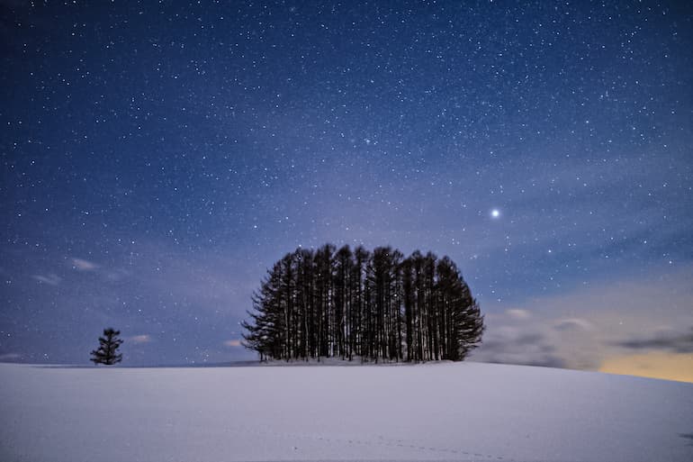 冬の美瑛　マイルドセブンの木と星空