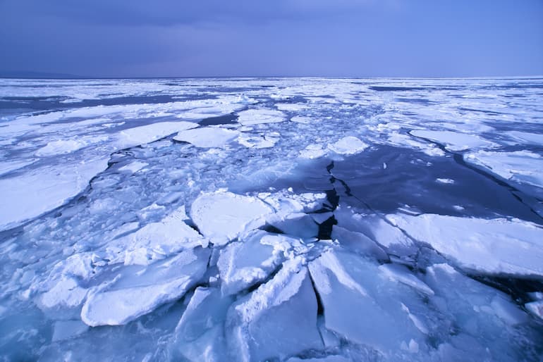 海一面に広がる流氷の様子