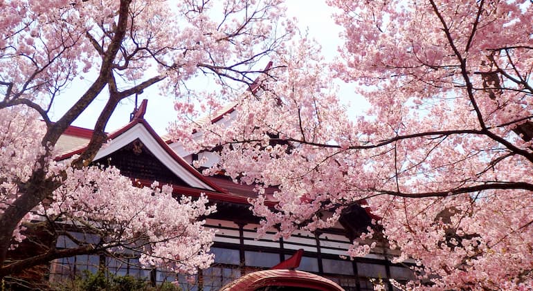 桜と高遠閣