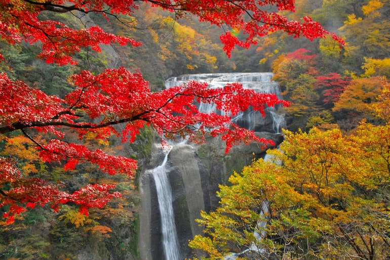 袋田の滝：紅葉の様子