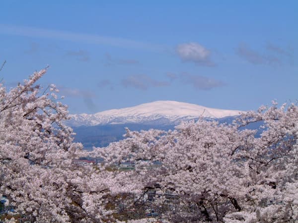 舞鶴山から望む月山