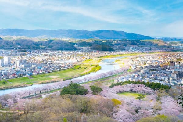 船岡城址公園山頂からの桜景色