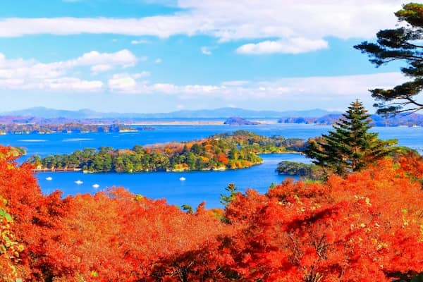 西行戻しの松公園から紅葉に染まる松島の眺望