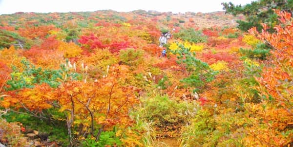 安達太良山 美しい紅葉の中の登山