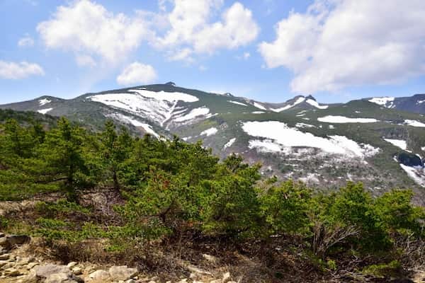 残雪と深緑の安達太良山